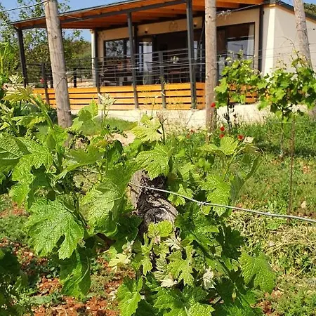 Collis Winery - Family & Friends - Mobilhome Campingplatz