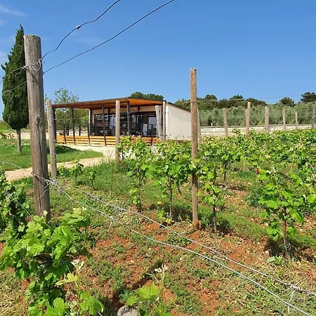 Collis Winery - Family & Friends - Mobilhome Campingplatz *